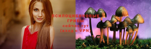 первитин Алзамай