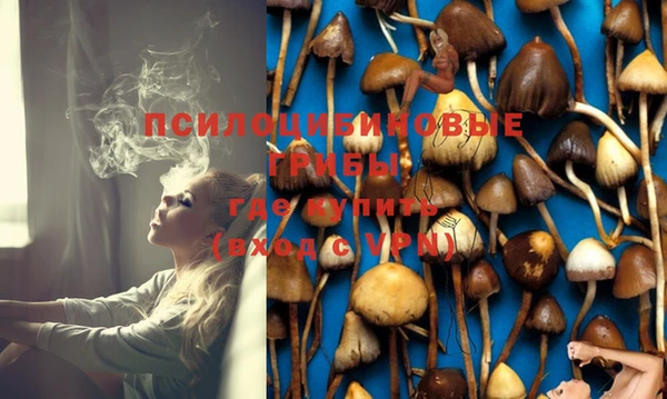 не бодяженный Володарск