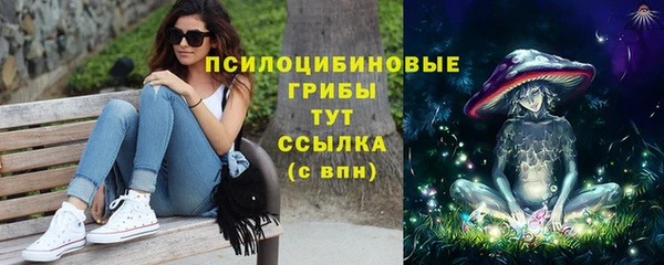 круглые Алексеевка