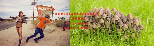 круглые Алексеевка