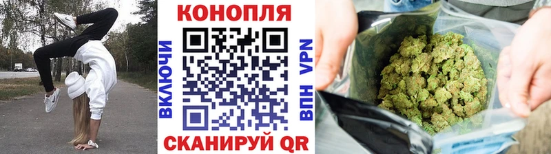 даркнет наркотические препараты  купить закладку  Олонец  Каннабис Ganja 